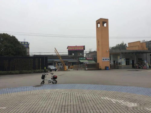 垫江中学中考分数线，垫江中学校长
