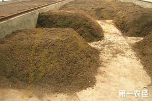 基质胶，基质胶matrigel