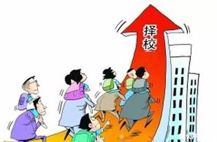 择校生是什么意思?