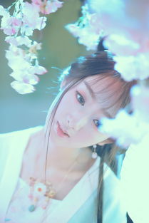 李白《 初月 》翻译
