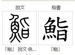 鱼旨读什么