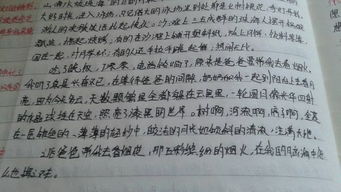 月亮作文600字初一托物言志，月亮作文600字初一带评语