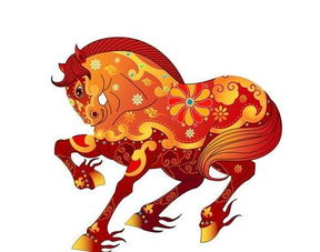 属马的今年多大年龄