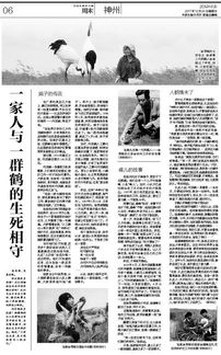 关于“神州”的句子有哪些?