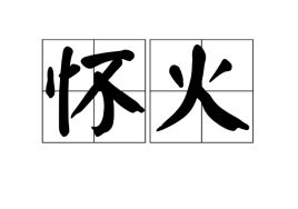 怀火志，怀火志波兰黑加仑小说