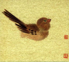 遛鸟视频，遛鸟游戏怎么玩