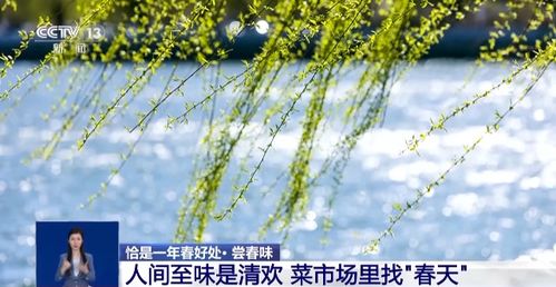 逾春 紫铜镜，逾春广播剧主要讲述了什么内容