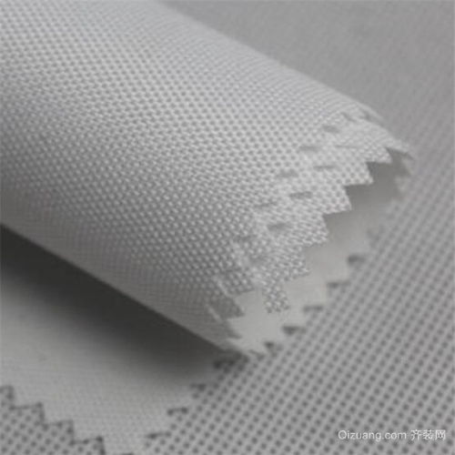polyester是什么意思中文，polyester是什么意思翻译