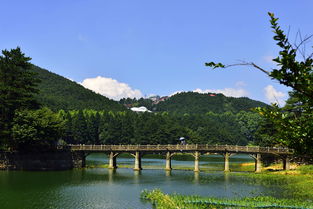 永修天气预报七天，江西九江永修天气预报