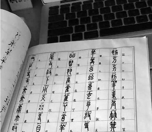 丁的组词100个，顶的组词二年级上册语文生字