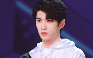 河南信阳的明星