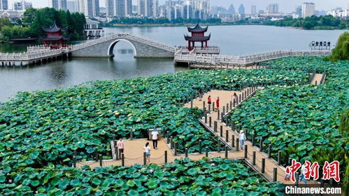 成都开利中央空调全国售后服务电话全国总部报修400网点