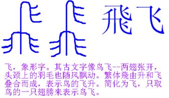 飞字是什么结构的字，飞字是什么结构的字啊