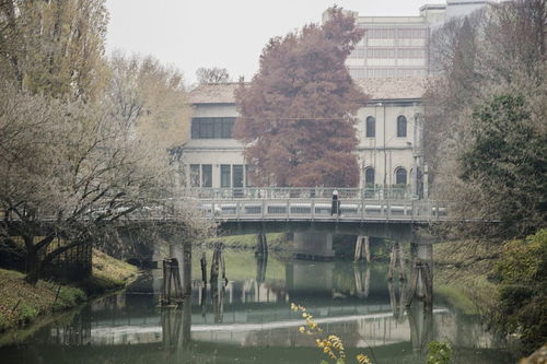 南京大学金陵学院教务管理系统怎么缴费，南京大学金陵学院教务助手