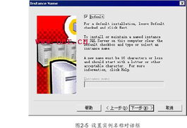 custom是什么意思英语