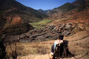 精心地什么填一个字，精心地什么填词语动词