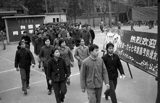 77年属什么生肖的