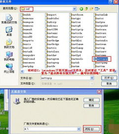 proper是什么意思