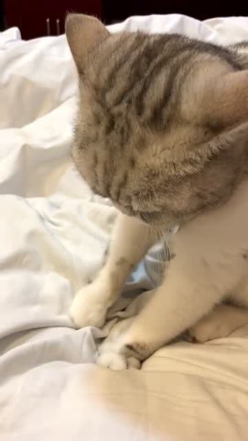 周到的意思周到的意思是什么