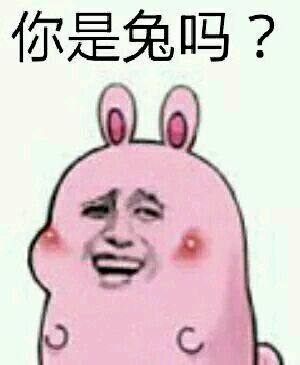 女朋友说你是猪吗我怎么回