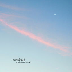 天空的舞来的漫步清新 湖水想樱花一样安静这是哪首歌的歌词