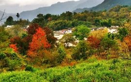 延安市延川县有哪些镇?哪些乡?分别又包括哪些村