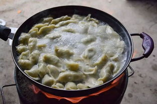 煮饺子作文