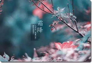 节气霜降是什么意思，秋去露秋寒霜降是什么意思