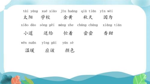 四个太阳课文内容，我画了四个太阳课文