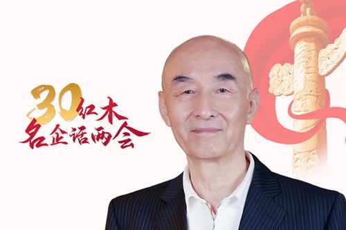 提振是什么意思
