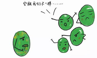 嫩的部首和结构是什么
