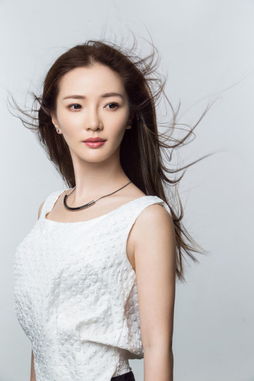陈一玲和罗大佑，陈一玲光阴的故事