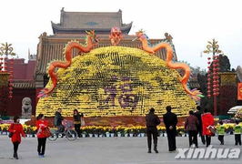 菊花门的事件概况