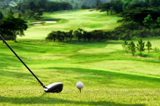 GOLF的含义是什么?