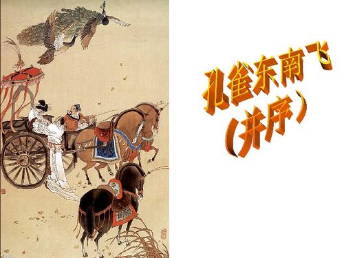孔雀东南飞读后感1000字，孔雀东南飞读后感400字