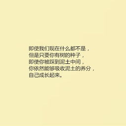 励志的文章人生感悟，妈妈鼓励孩子励志的文章