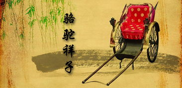 骆驼祥子读后感1000字