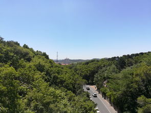 龙首山在哪里，龙首山海拔是多少