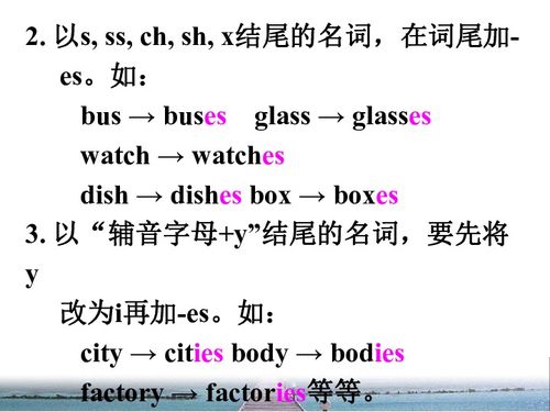 可数名词与不可数名词英文缩写是什么