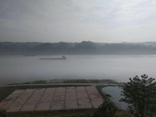 合江天气预报15天准确，沪州合江天气