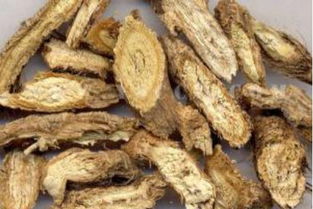防风的种类有哪些?