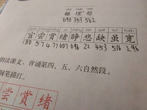 埋组词语和部首，埋组词语和拼音部首