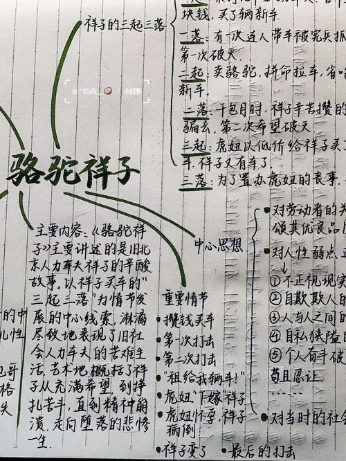 骆驼祥子七到九章概括是什么?