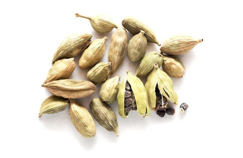 cardamom是什么意思，Cardamom oil