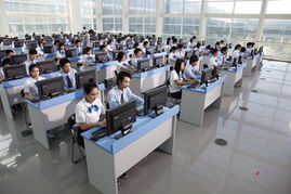 重庆市南岸区电子计算机培训学校地址
