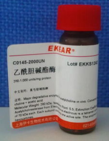 人体怎样能合成乙酰胆碱酯酶