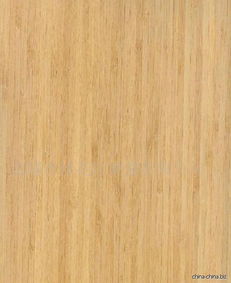 Dental veneer 中文怎么说? 就是和烤瓷冠差不多,但只是表面一层,不是