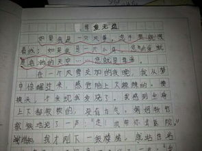 父母对我的爱作文200字