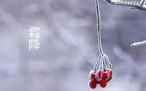霜降是什么意思?