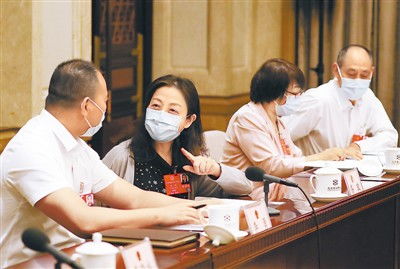 共商国是是什么意思?